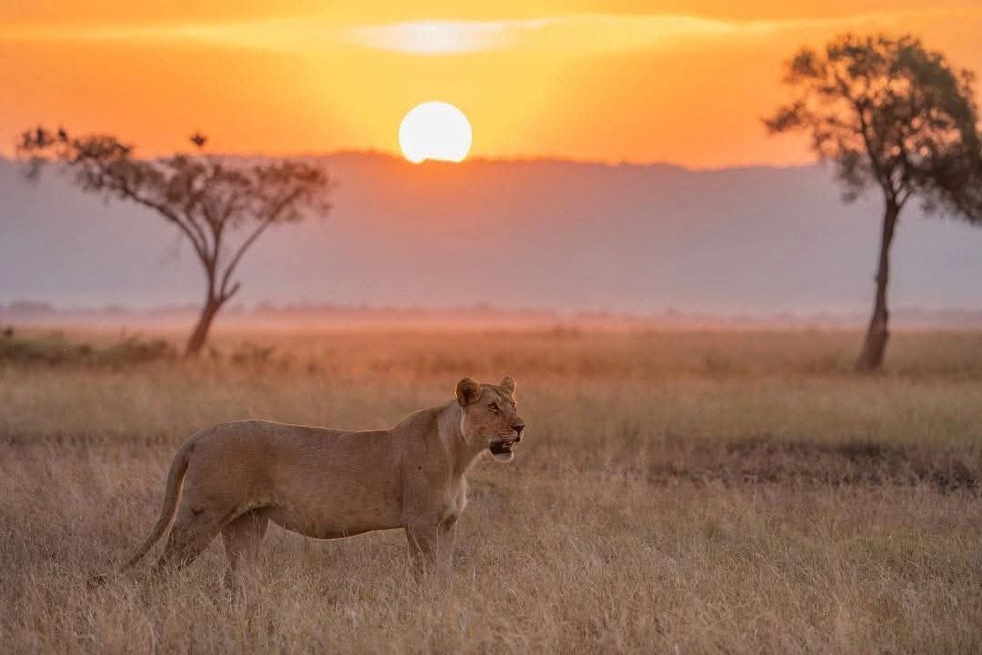12-Day Tanzania Safari & Zanzibar Beach Holiday